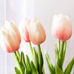 Meet your Posher, Sweet